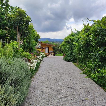 Prozelo Casa Matreiro 빌라 외부 사진