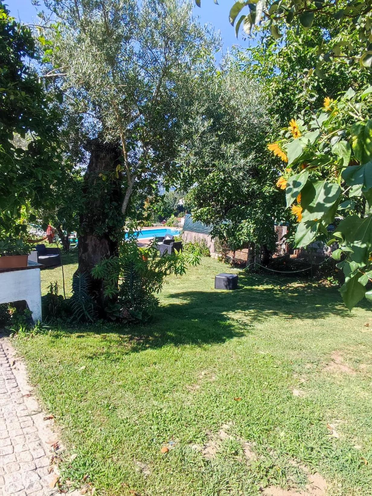 Prozelo Casa Matreiro 빌라 외부 사진